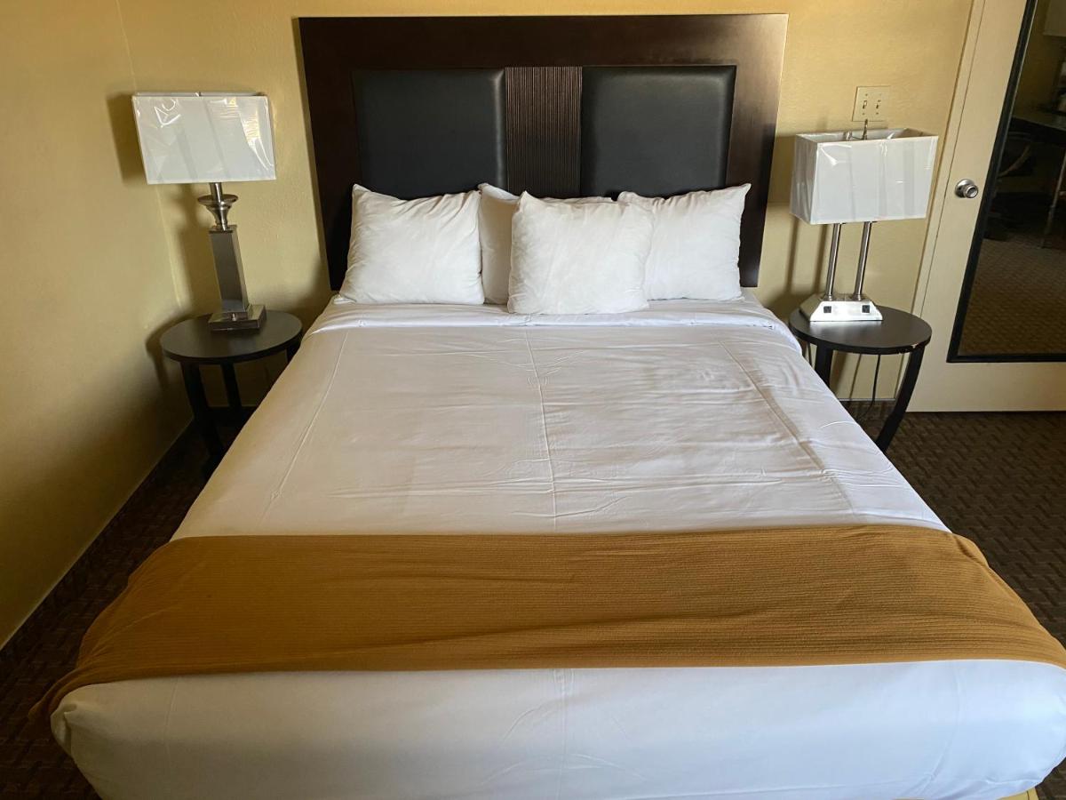 Popular attractions Area Nearby Property